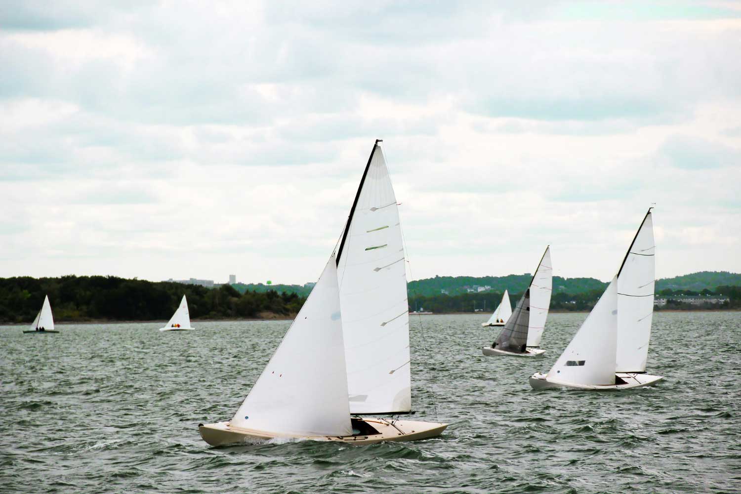 Day Sailing Membership at the Bay of Islands Yacht Club, Corner Brook, NL