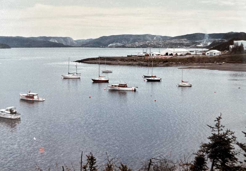 bay of islands yacht club history